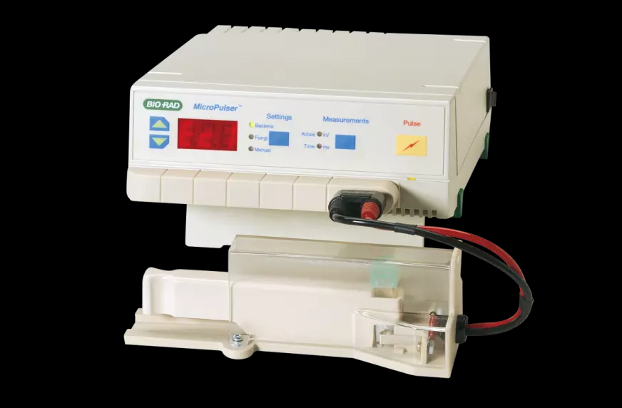 伯樂（Bio-Rad）MicroPulser 電穿孔儀